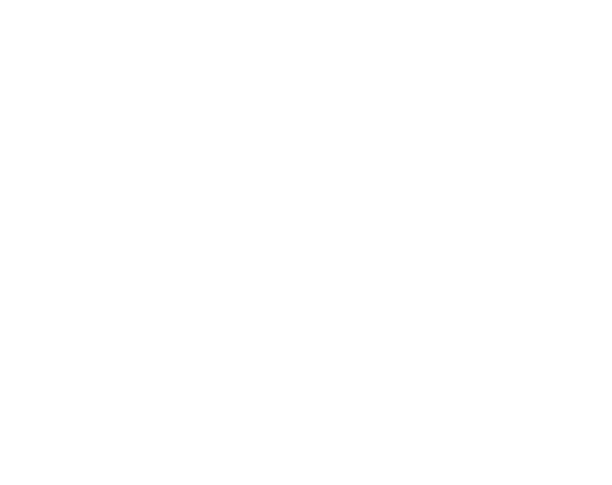 Flight Tactics Logo with a small drone on top